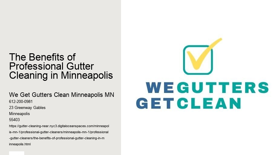 The Benefits of Professional Gutter Cleaning in Minneapolis 