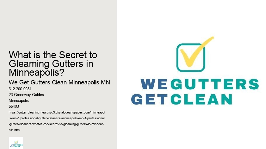 What is the Secret to Gleaming Gutters in Minneapolis? 