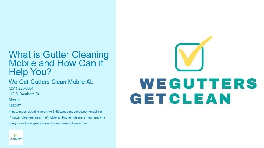 What is Gutter Cleaning Mobile and How Can it Help You?