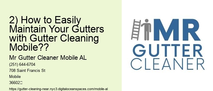 2) How to Easily Maintain Your Gutters with Gutter Cleaning Mobile??