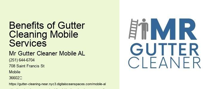 Benefits of Gutter Cleaning Mobile Services 