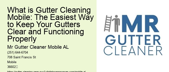 What is Gutter Cleaning Mobile: The Easiest Way to Keep Your Gutters Clear and Functioning Properly