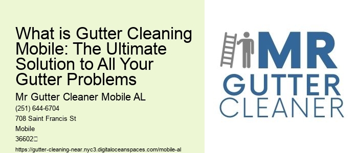 What is Gutter Cleaning Mobile: The Ultimate Solution to All Your Gutter Problems