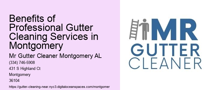 Benefits of Professional Gutter Cleaning Services in Montgomery 