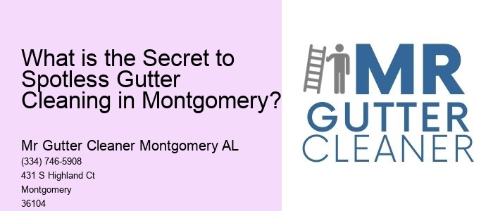 What is the Secret to Spotless Gutter Cleaning in Montgomery? 