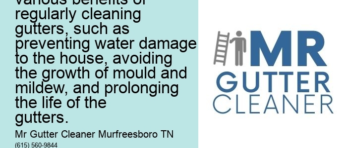 1) Importance of Regular Gutter Cleaning: This article could discuss the various benefits of regularly cleaning gutters, such as preventing water damage to the house, avoiding the growth of mould and mildew, and prolonging the life of the gutters.