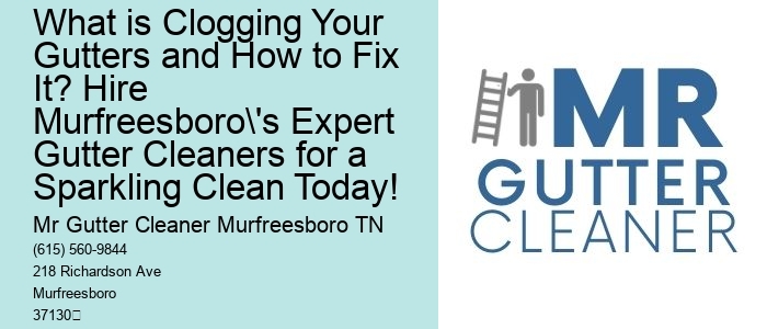 What is Clogging Your Gutters and How to Fix It? Hire Murfreesboro's Expert Gutter Cleaners for a Sparkling Clean Today!