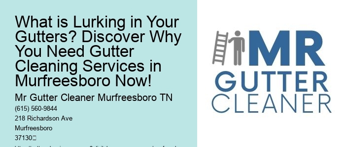 What is Lurking in Your Gutters? Discover Why You Need Gutter Cleaning Services in Murfreesboro Now!