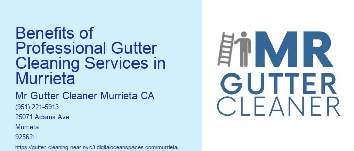 Benefits of Professional Gutter Cleaning Services in Murrieta 