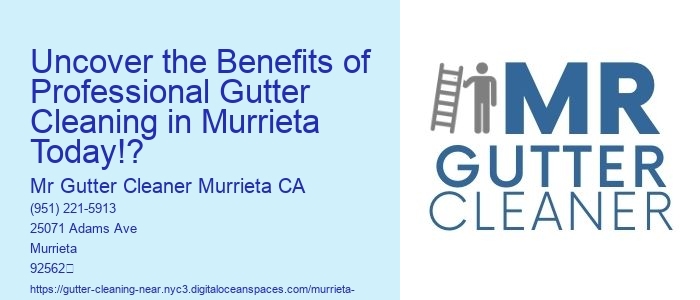 Uncover the Benefits of Professional Gutter Cleaning in Murrieta Today!?