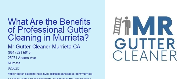What Are the Benefits of Professional Gutter Cleaning in Murrieta?