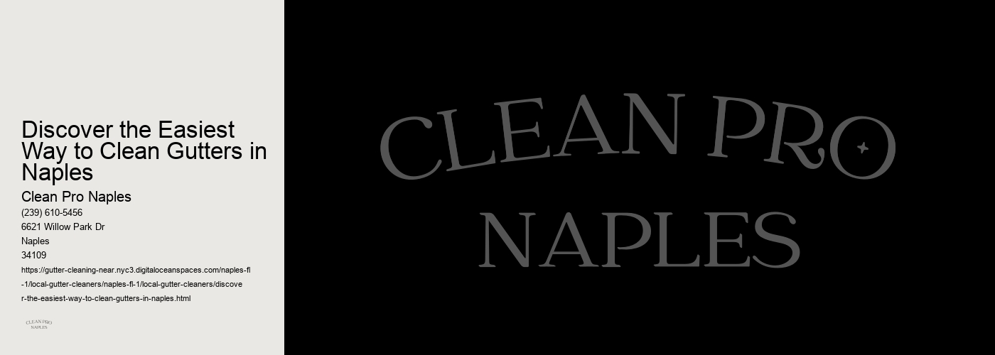 Discover the Easiest Way to Clean Gutters in Naples 