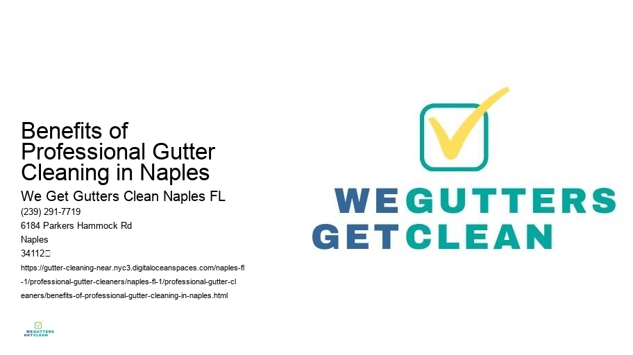 Benefits of Professional Gutter Cleaning in Naples 