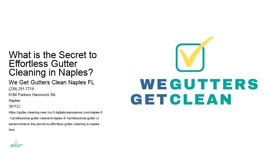 What is the Secret to Effortless Gutter Cleaning in Naples? 