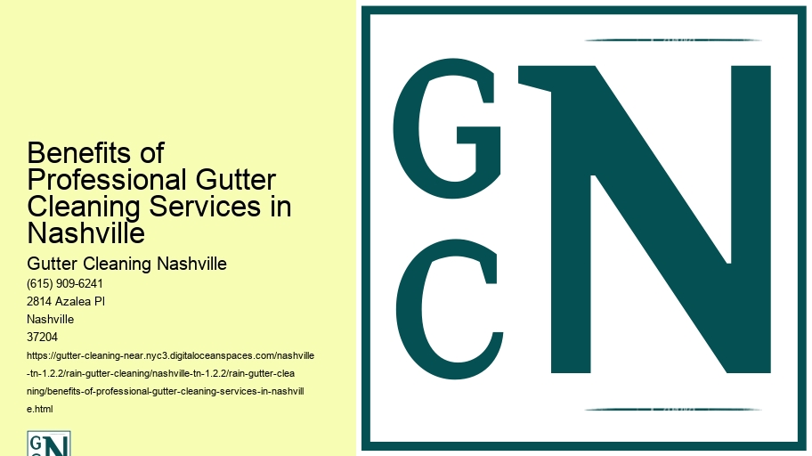 Benefits of Professional Gutter Cleaning Services in Nashville 
