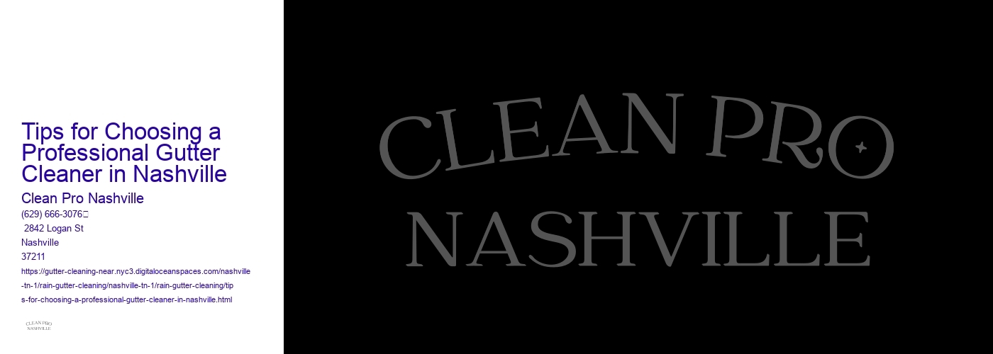 Tips for Choosing a Professional Gutter Cleaner in Nashville 