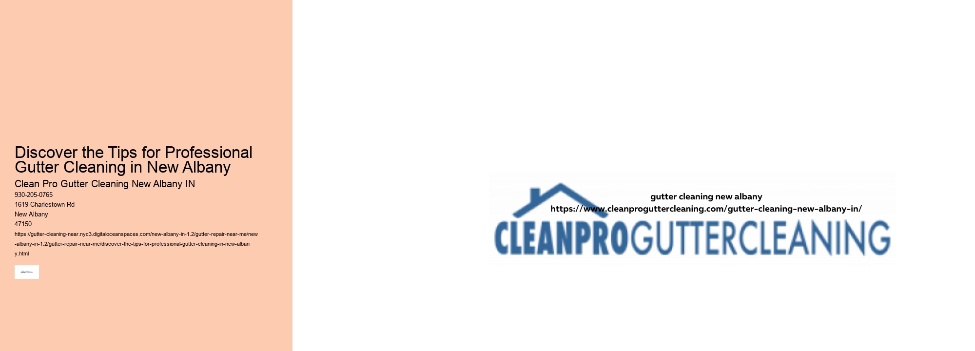 Discover the Tips for Professional Gutter Cleaning in New Albany 