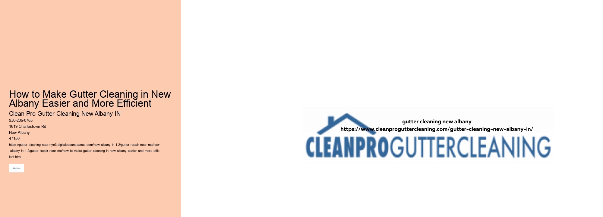 How to Make Gutter Cleaning in New Albany Easier and More Efficient 