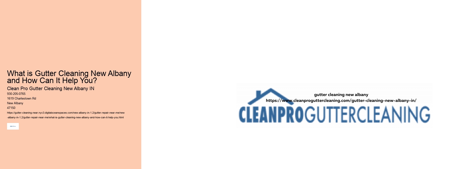What is Gutter Cleaning New Albany and How Can It Help You? 
