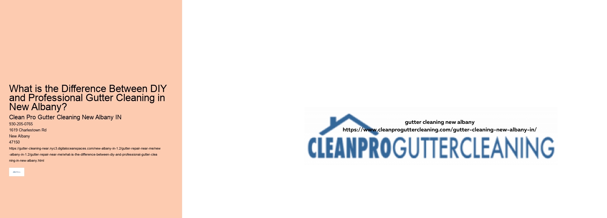 What is the Difference Between DIY and Professional Gutter Cleaning in New Albany? 