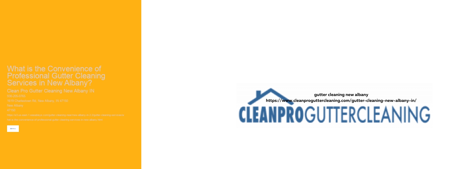 What is the Convenience of Professional Gutter Cleaning Services in New Albany? 