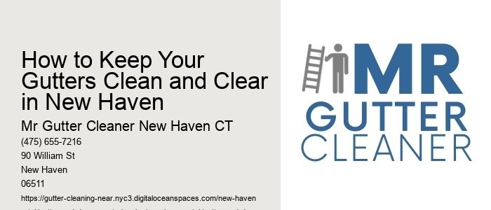 How to Keep Your Gutters Clean and Clear in New Haven 