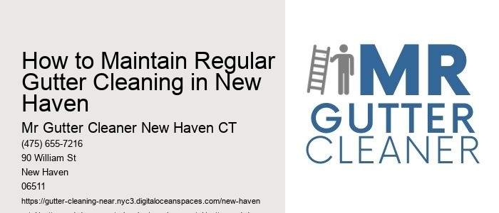 How to Maintain Regular Gutter Cleaning in New Haven