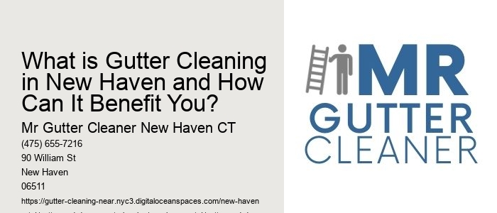 What is Gutter Cleaning in New Haven and How Can It Benefit You? 
