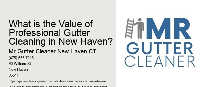 What is the Value of Professional Gutter Cleaning in New Haven?