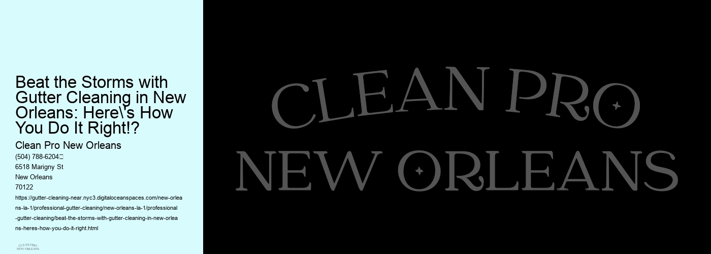 Beat the Storms with Gutter Cleaning in New Orleans: Here's How You Do It Right!?