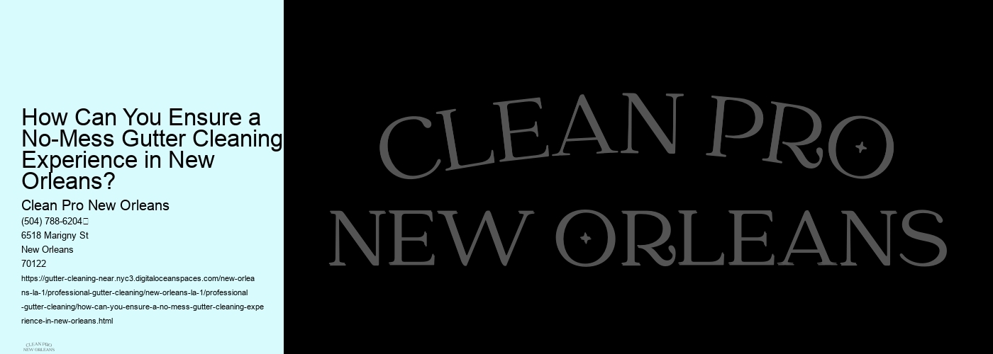 How Can You Ensure a No-Mess Gutter Cleaning Experience in New Orleans?
