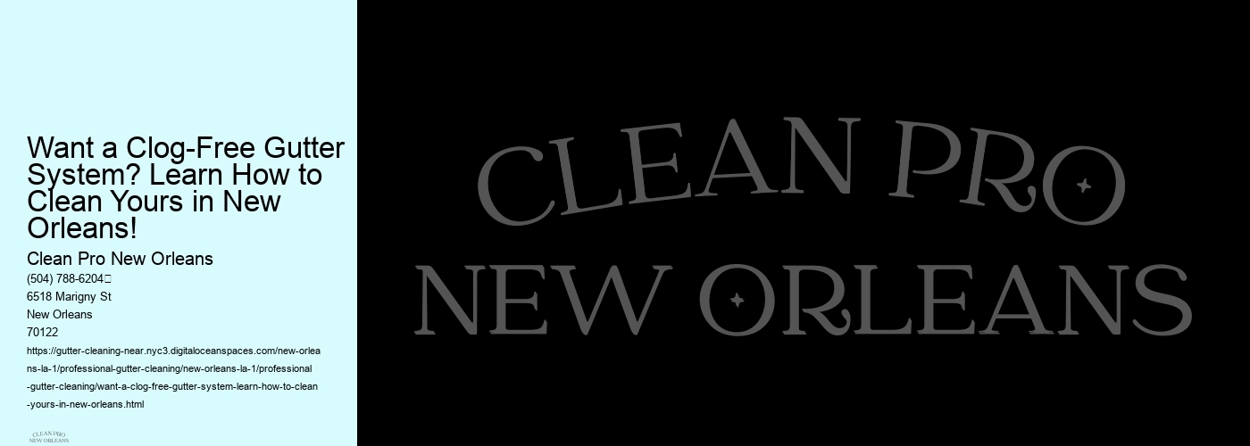 Want a Clog-Free Gutter System? Learn How to Clean Yours in New Orleans!