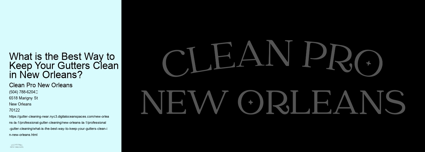 What is the Best Way to Keep Your Gutters Clean in New Orleans?