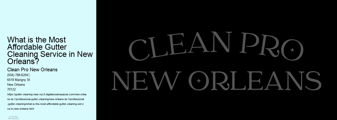 What is the Most Affordable Gutter Cleaning Service in New Orleans?