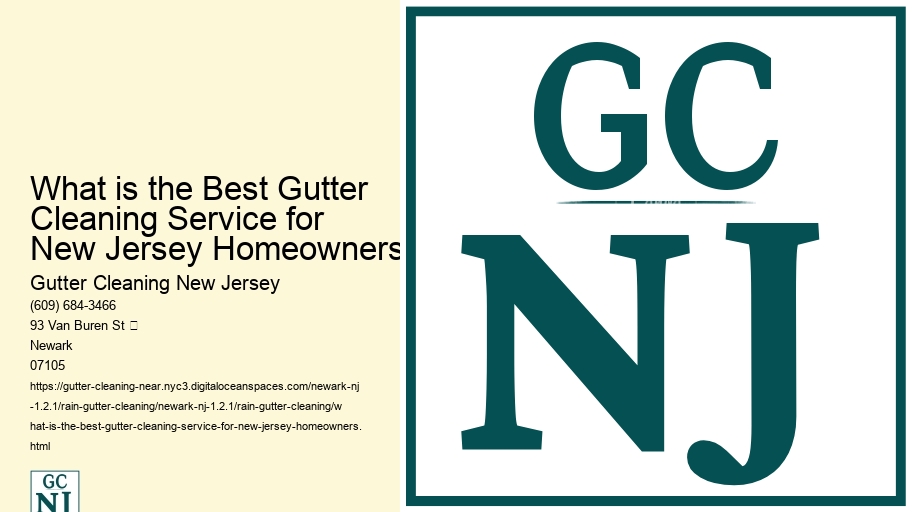 What is the Best Gutter Cleaning Service for New Jersey Homeowners? 