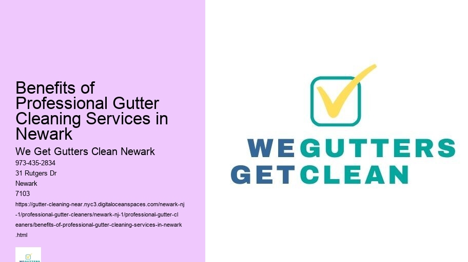 Benefits of Professional Gutter Cleaning Services in Newark 