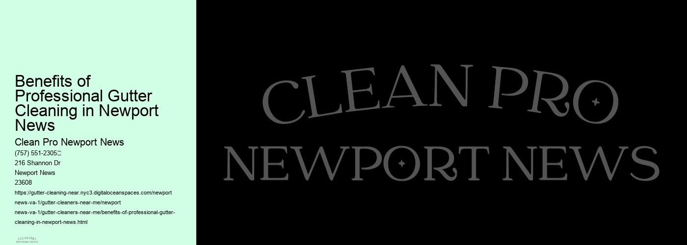 Benefits of Professional Gutter Cleaning in Newport News 