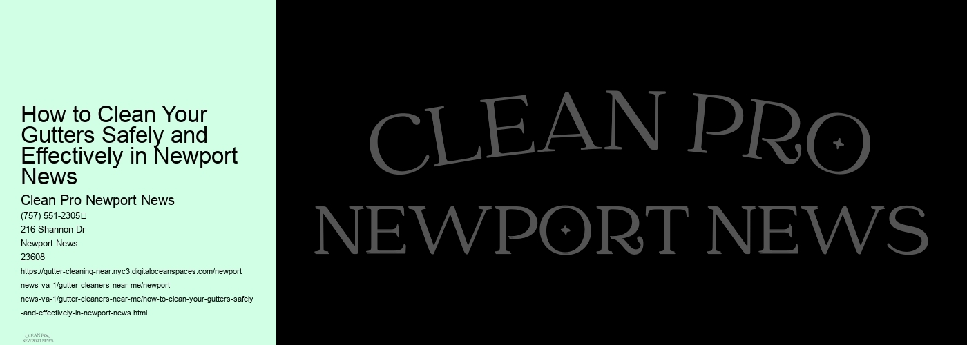 How to Clean Your Gutters Safely and Effectively in Newport News 