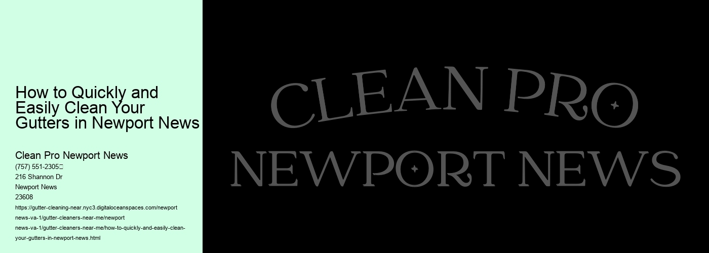 How to Quickly and Easily Clean Your Gutters in Newport News 