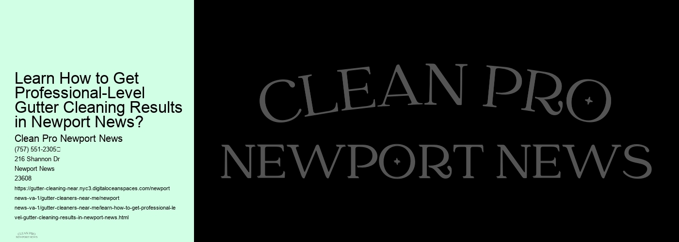 Learn How to Get Professional-Level Gutter Cleaning Results in Newport News?