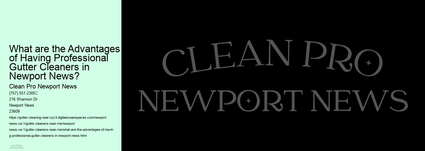 What are the Advantages of Having Professional Gutter Cleaners in Newport News?