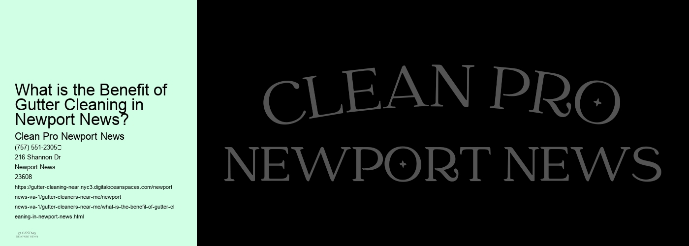 What is the Benefit of Gutter Cleaning in Newport News? 