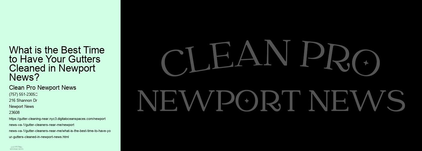 What is the Best Time to Have Your Gutters Cleaned in Newport News?