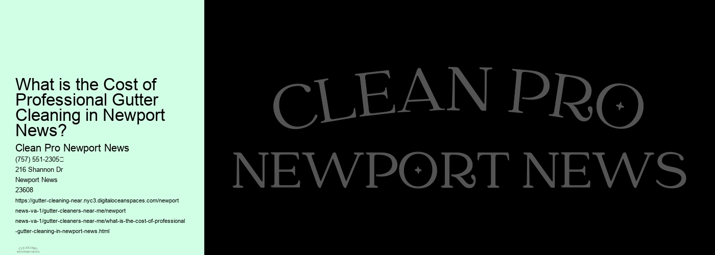 What is the Cost of Professional Gutter Cleaning in Newport News?