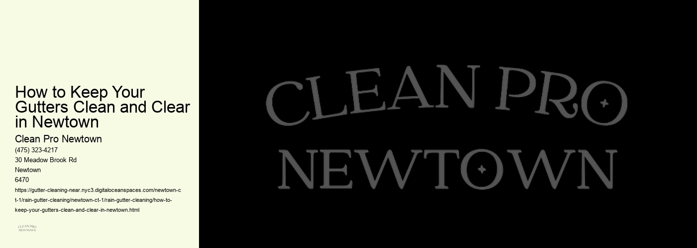 How to Keep Your Gutters Clean and Clear in Newtown