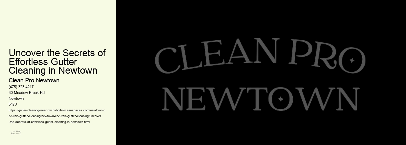 Uncover the Secrets of Effortless Gutter Cleaning in Newtown