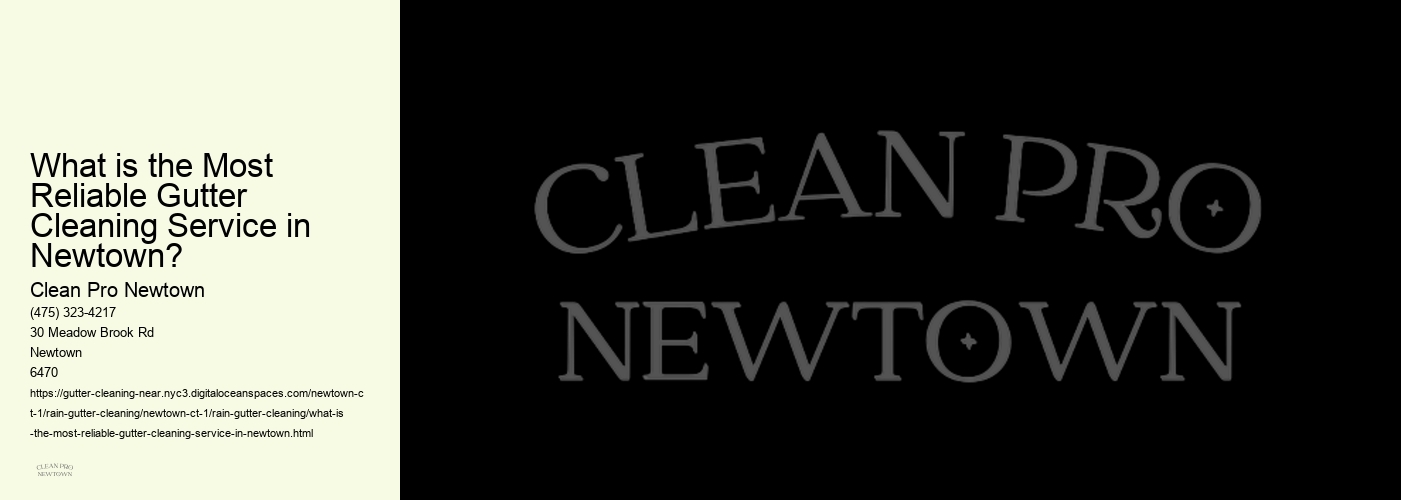 What is the Most Reliable Gutter Cleaning Service in Newtown? 