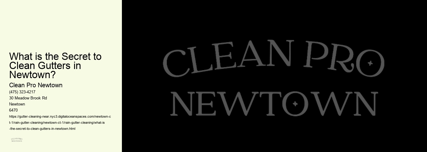 What is the Secret to Clean Gutters in Newtown? 
