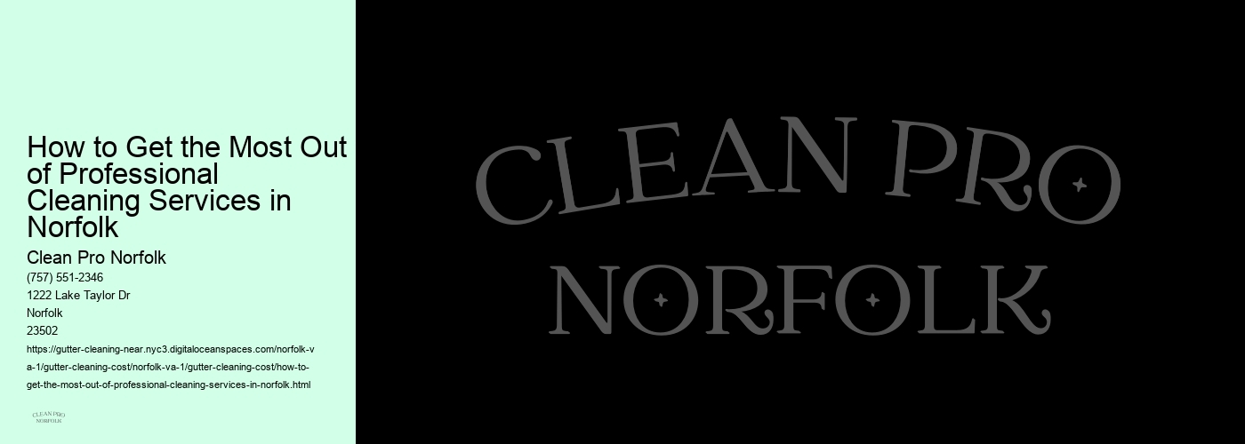 How to Get the Most Out of Professional Cleaning Services in Norfolk 