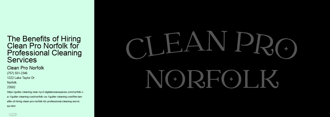 The Benefits of Hiring Clean Pro Norfolk for Professional Cleaning Services 